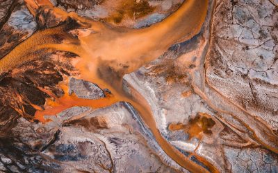 El impacto de las Toxinas (Es)