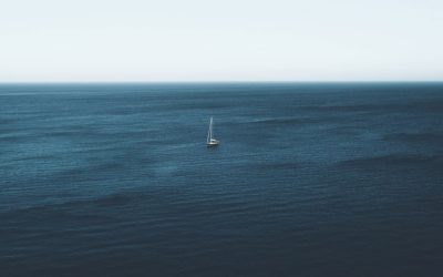 Cómo navegar la Incertidumbre (Es)